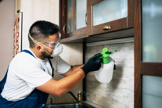 Best Pest Control Near Me  in University Center, VA