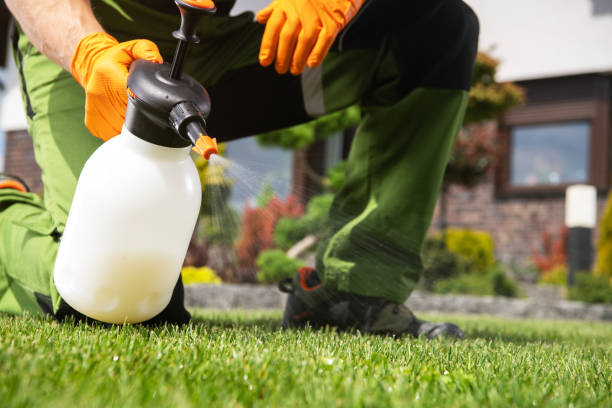 Best Insect Control  in University Center, VA