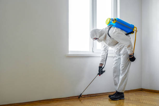 Best Best Pest Control Companies  in University Center, VA
