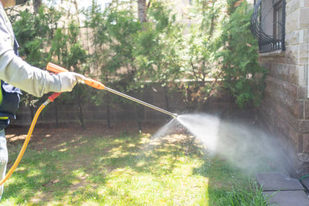 Best Pest Inspection Near Me  in University Center, VA