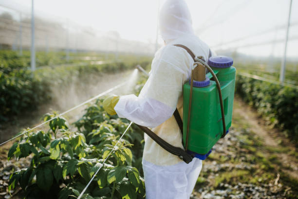 Best Cockroach Control Services  in University Center, VA